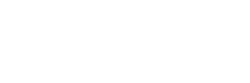 Niconsys logo valkoinen